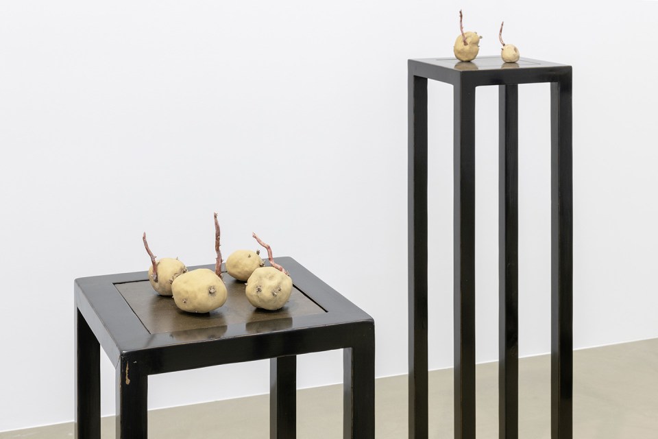 Su-Mei_Tse_Nested_20